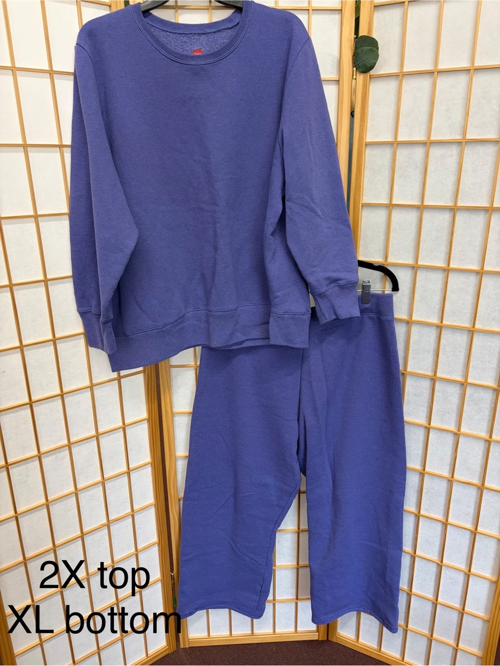 Hanes Women's Purple Sweatshirt and Sweatpants Set
